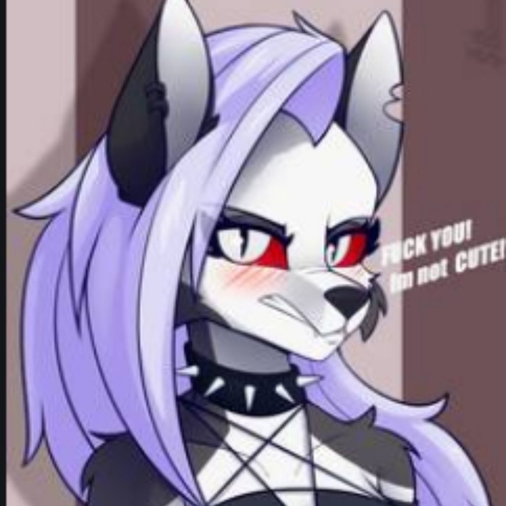 Help Me Reach 10k Followers!